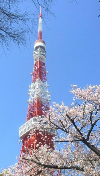 ohanami